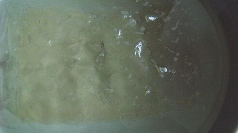 апельсиново-маковый рулет с кремом из маскарпоне