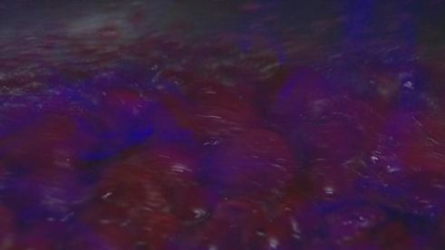 баварский крем с ягодным соусом