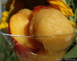 Медово-нектариновый сорбет с шампанским