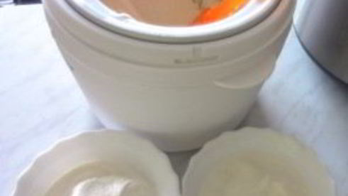 домашнее мороженое в мороженице