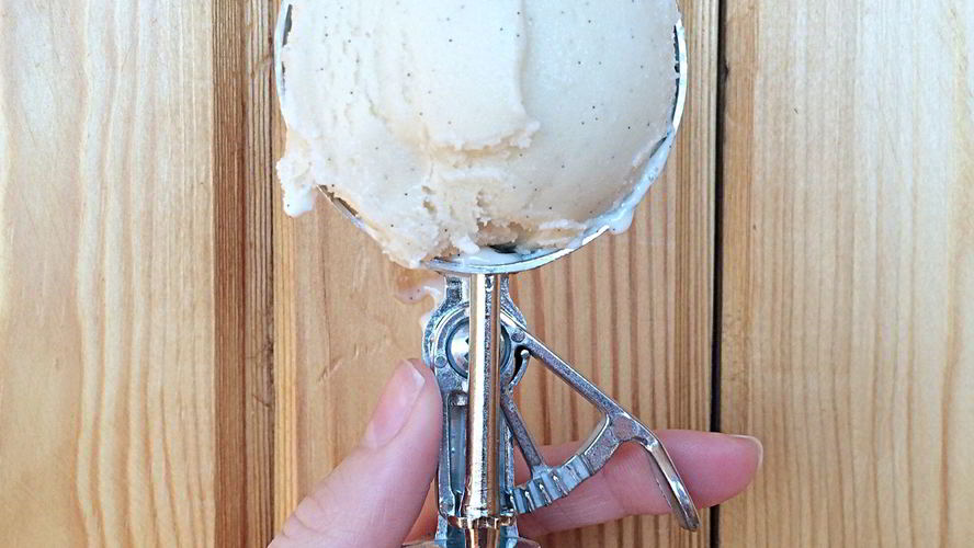 Рецепт соевого ванильного мороженого