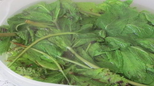 торт-мороженое арбуз