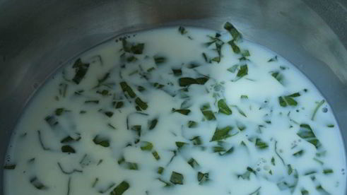 шоколадный десерт с базиликом