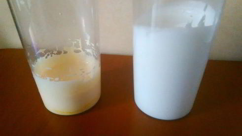 бисквит для тирамису