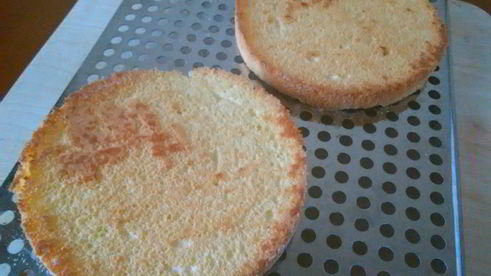 бисквит для тирамису