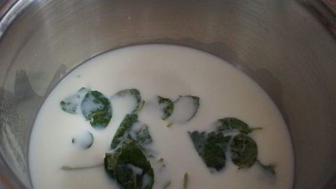 торт-мороженое семифредо-тирамису