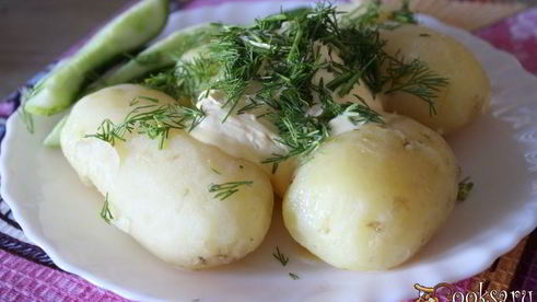 молодой картофель со сметаной и зеленью
