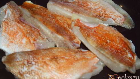 долма с филе морского окуня