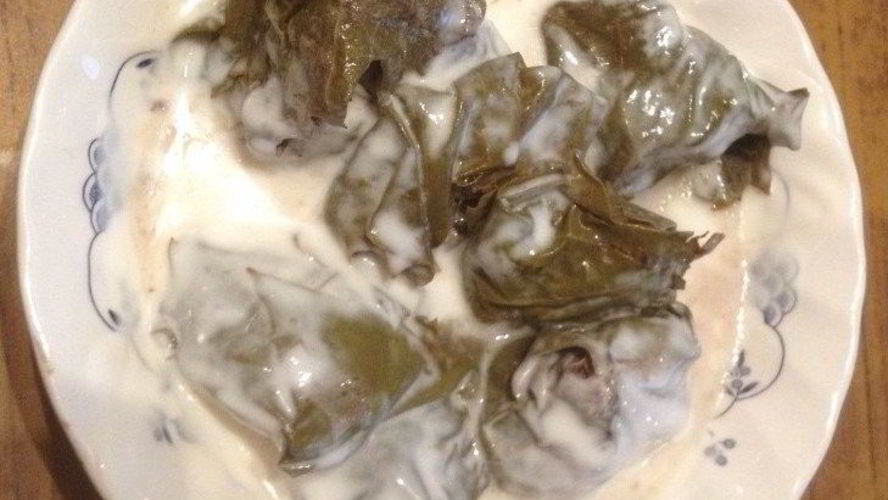 Рецепт долмы с соусом на основе кефира