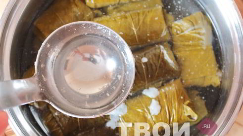 долма в виноградных листьях