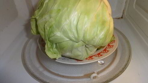 голубцы из молодой капусты с фаршем и чечевицей