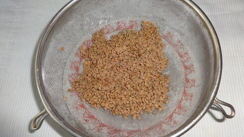 голубцы из молодой капусты с фаршем и чечевицей