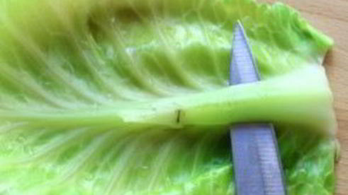 голубцы с мясом