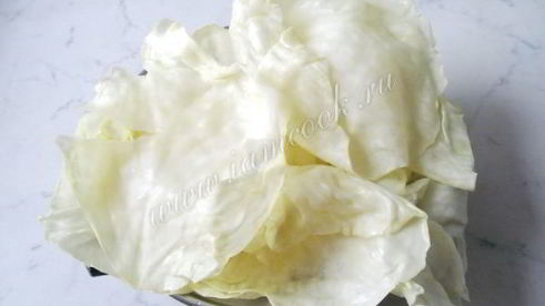 голубцы в сметанном соусе