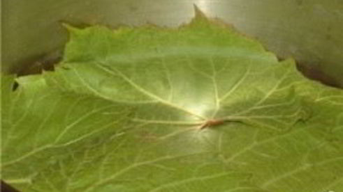 постная долма