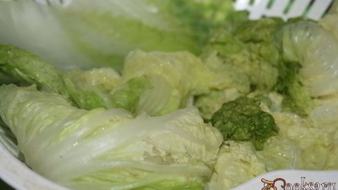 весенние голубцы из фарша со свежей зеленью