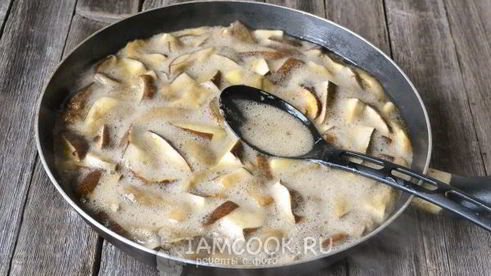 моховики жареные