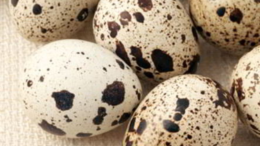 Рецепт шампиньонов с перепелиными яйцами