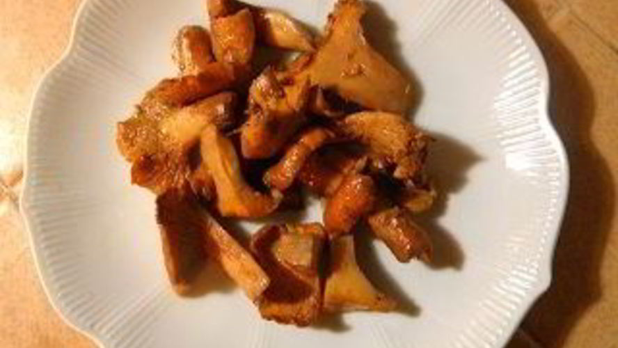 Рецепт тушеных лисичек