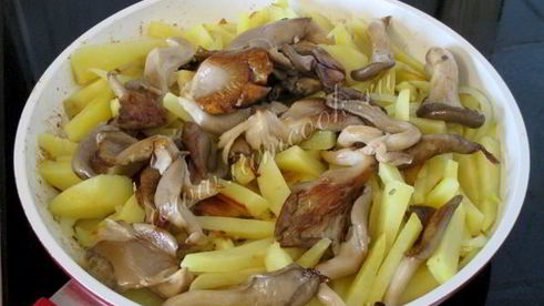вешенки жареные с картошкой