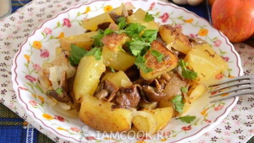 Рецепт жареных опят с картошкой