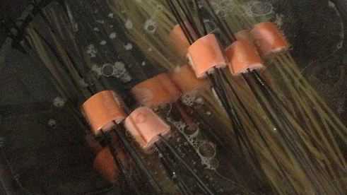 макароны с сосисками осьминожки