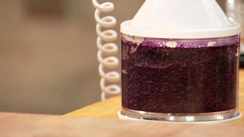 утиная ножка с фиолетовой коврижкой