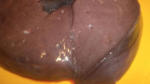 говяжья печень с яблоками и луком по-берлински