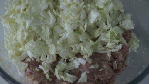 японские пельмени яки гедза