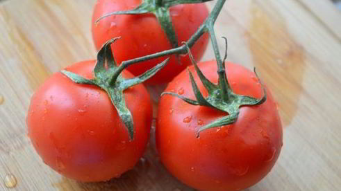 паэлья с кальмарами