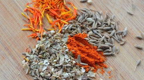 паэлья с кальмарами