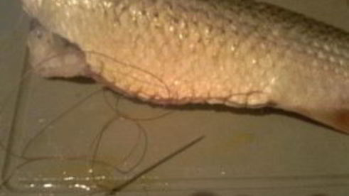 кефаль, запеченная в рукаве