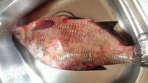 лещ запеченный в духовке