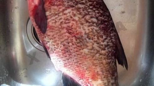 лещ запеченный в духовке