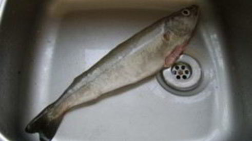 минтай в духовке в фольге