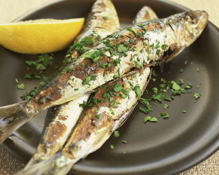 Рыба луфарь