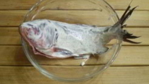 рыба в духовке со сметаной