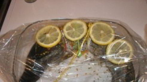 щука в рукаве в духовке