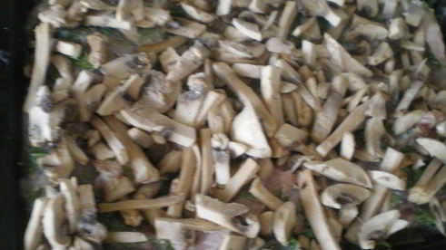 запеченное рыбное филе германское с картофельно-кабачковым пюре