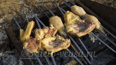 шашлык из курицы