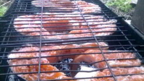 шашлык из рыбы на костре