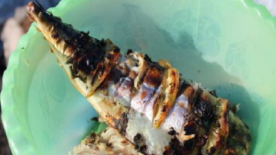 Рецепт шашлыка из скумбрии