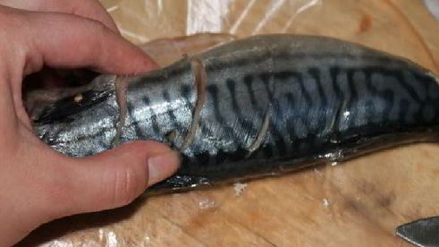 шашлык из скумбрии