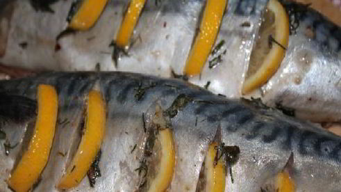 шашлык из скумбрии