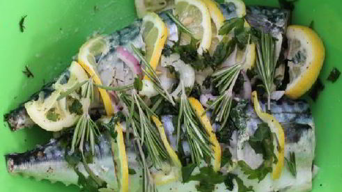 шашлык из скумбрии