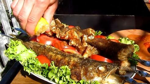 шашлык из судака