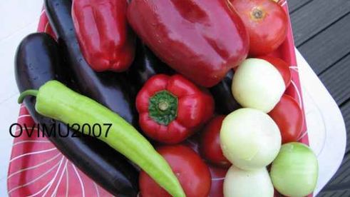 шашлык из свинины