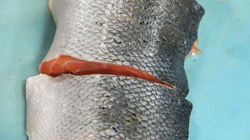 стейк из семги на печеном картофеле с икорным соусом