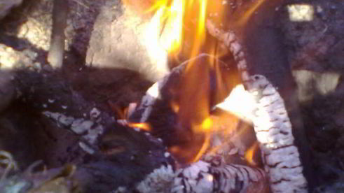 стейк по-карибски в маринаде с апельсинами и чили