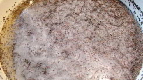 кутья закарпатская